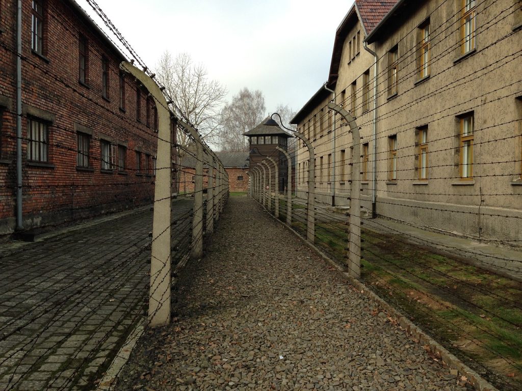 auschwitz, history, concentration camp-1066204.jpg