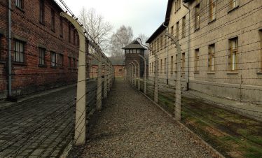 auschwitz, history, concentration camp-1066204.jpg
