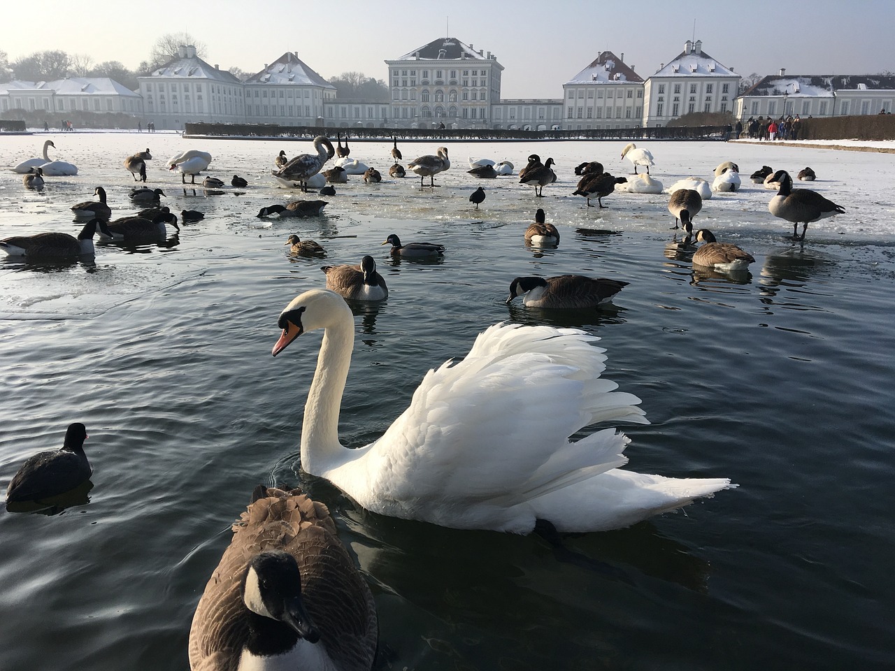 nymphenburg castle, munich, bavaria-2029460.jpg